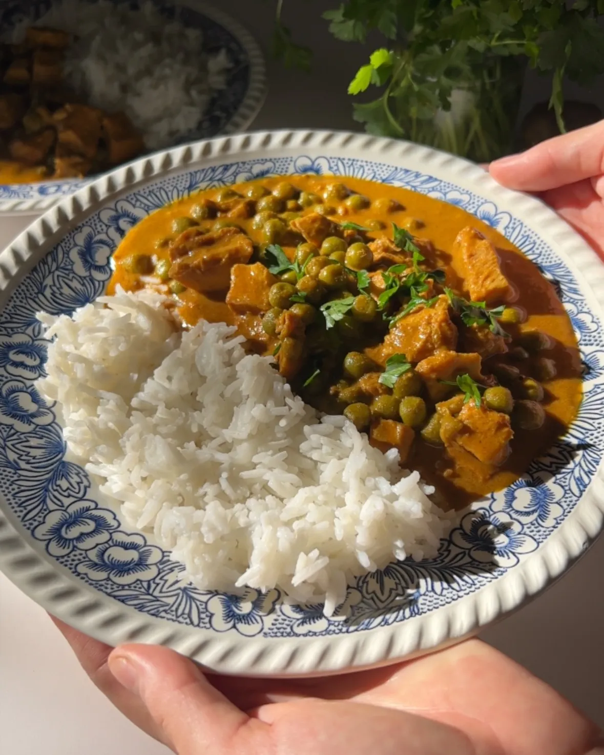 Curry de pui